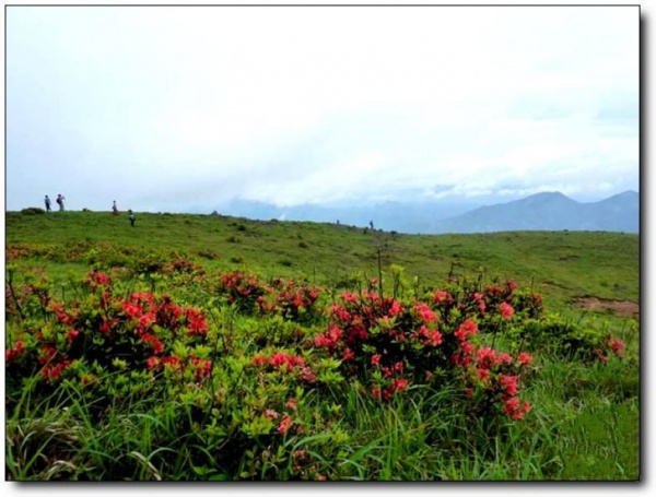 寧德白溪草場(chǎng)_古田白溪草場(chǎng)(福建寧德)_白溪草場(chǎng)