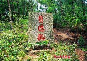 真隱處_美翻了！翔安這香山50畝花海綻放，小伙伴們約起來(lái)！