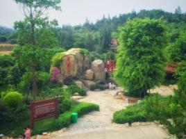 忠義石_美翻了！翔安這香山50畝花海綻放，小伙伴們約起來(lái)！