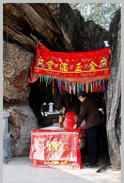 同安洪塘鎮(zhèn)郭山村[公婆樟] - 樹(shù)神 (2)_同安洪塘鎮(zhèn)郭山村公婆樟-樹(shù)神