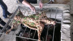 海滄土味佳體驗式農(nóng)場 (3)_海滄土味佳體驗式農(nóng)場_海滄海滄土味佳體驗式農(nóng)場_海滄土味佳體驗式農(nóng)場