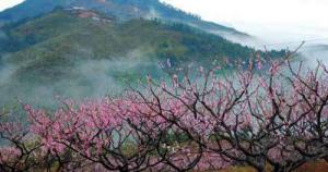 南埕桃花島景區(qū) (5)_南埕桃花島景區(qū)