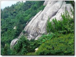 長(zhǎng)泰天成山 (1)_長(zhǎng)泰天成山