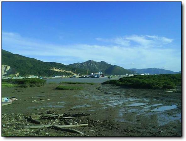 龍海海門(mén)島 (4)_龍海海門(mén)島