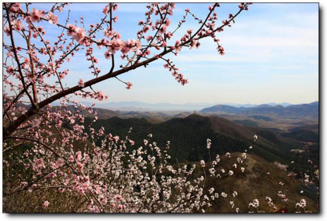 長(zhǎng)樂(lè)九龍山莊 (6)_長(zhǎng)樂(lè)九龍山莊
