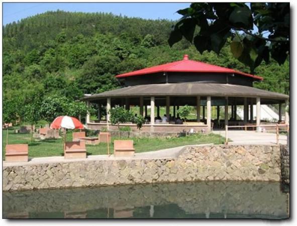 閩清豐達生態(tài)園 (4)_閩清豐達生態(tài)園