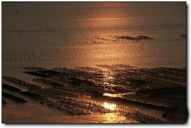 平潭壇南灣海濱浴場(chǎng) (5)_平潭壇南灣海濱浴場(chǎng)
