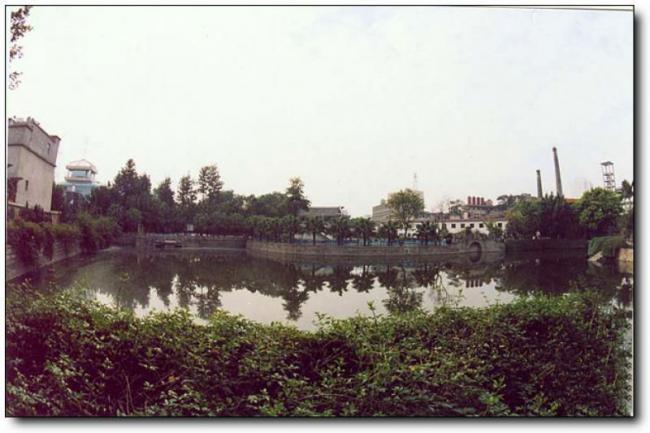 臺(tái)江南公園 (2)_臺(tái)江南公園
