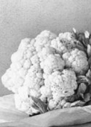 凌波香榭·成人素描班