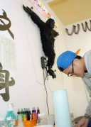 《藏家的美夢》廈門站在不愿去藝文空間