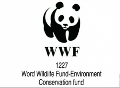 【嗨翻暑假】中國最有趣工作—熊貓觀察員5日之旅再度來襲！