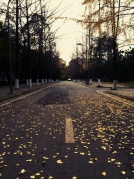 #互免約拍#天氣那么好，出來走走吧