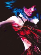 風(fēng)靡全球的舞蹈巨作《燃燒地板》鉑金紀(jì)念版—廈門站