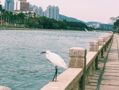 遇見另一個自己·紅璞圣誕戶外交友趴