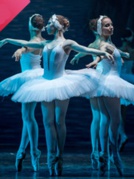 俄羅斯國家明星芭蕾舞團(tuán)《天鵝湖》