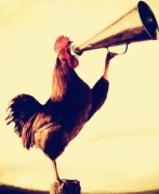 2017的新年第一天我們一起過！！！