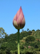 繩武樓+工藝扎染/糍粑DIY+林語堂+花溪溫泉+土菜采摘二日互動(dòng)