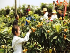 【周八】九鯉湖-遇見彩虹，登山賞瀑布，采摘枇杷，精美一日游