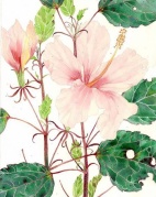 青木畫室—成人水彩體驗課