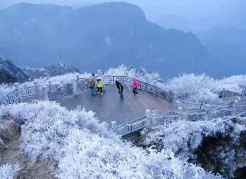 李家巖-金饒山，登福建之巔，欣賞霧海美景，艷遇冰雪霧凇