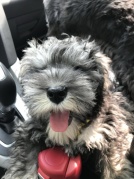 春節初四or初五九仙山自駕游~