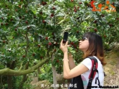 【周八】云洞巖-品鹽雞，賞閩南第一洞天；埭美古厝，游水上古民居