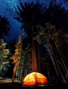 兩天一夜星空露營趴（森林晚宴、露天影院、戶外娛樂項目）